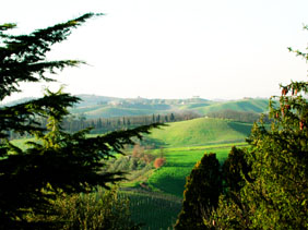 Affitto casa vacanze campagna certaldo